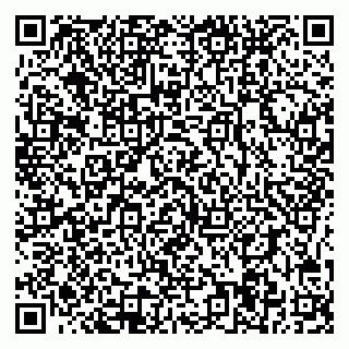 vCard 78095004039