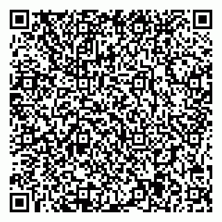 vCard 78095005753
