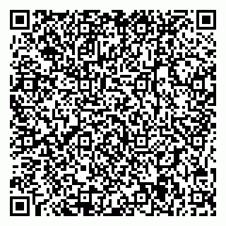 vCard 78095005803