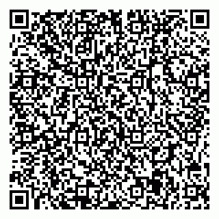 vCard 78095005804