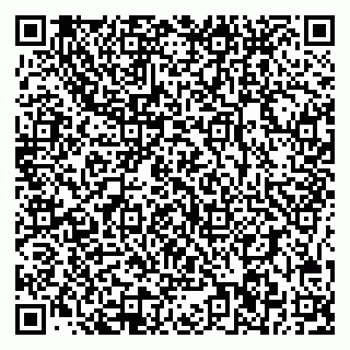 vCard 78095006039