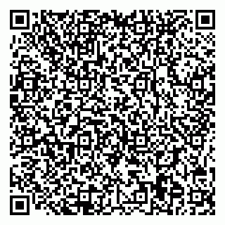 vCard 78095009539