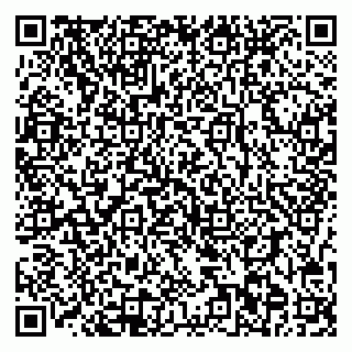 vCard 78097002539