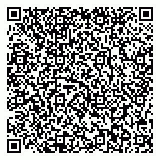 vCard 78097002739