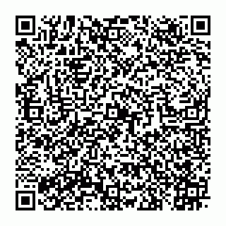 vCard 78097400041
