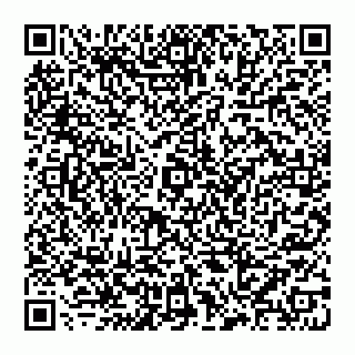 vCard 78097400063