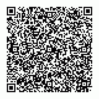 vCard 78097400131