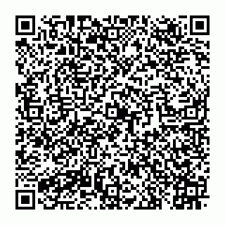 vCard 78097400133