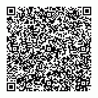 vCard 78097400199