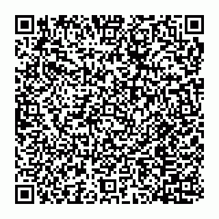 vCard 78097400209
