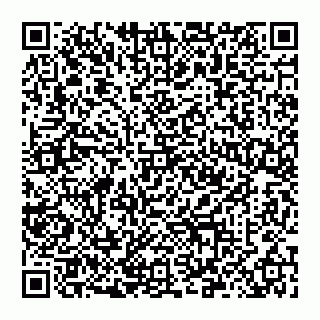 vCard 78097400273