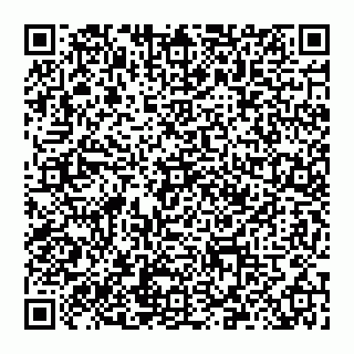 vCard 78097400285