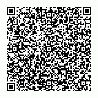 vCard 78097400294