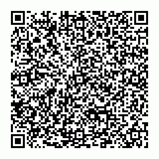vCard 78097400295
