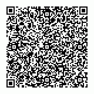 vCard 78097400300
