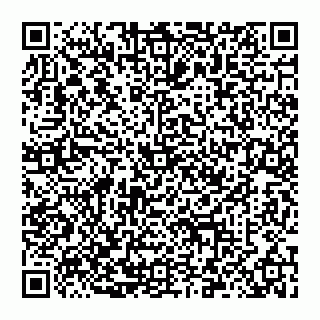 vCard 78097400303