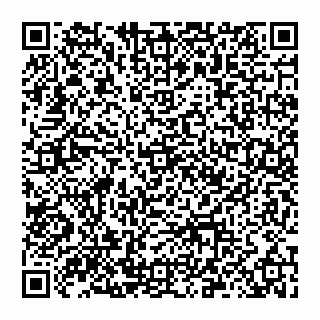 vCard 78097400318