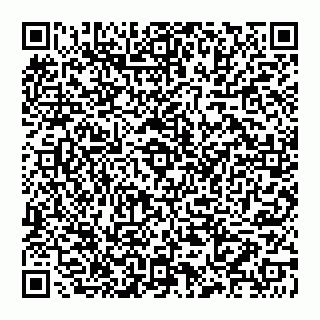vCard 78097400371