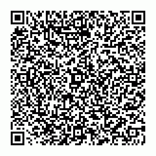 vCard 78097400378