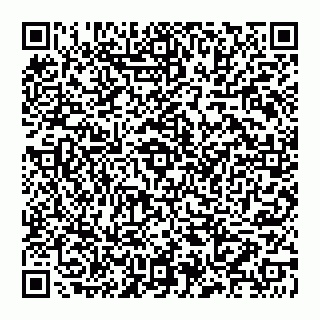 vCard 78097400381
