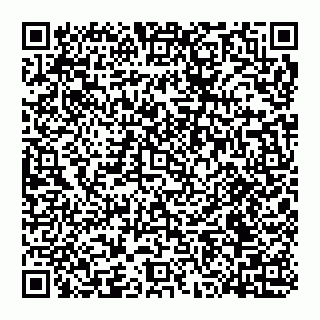 vCard 78097400385