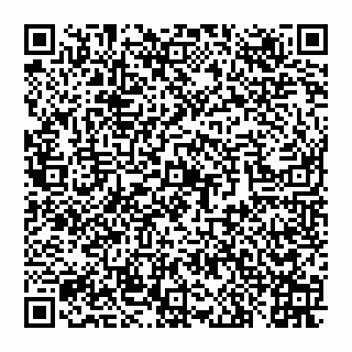 vCard 78097400386