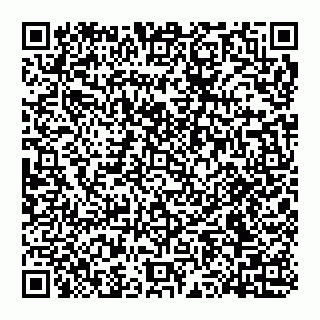 vCard 78097400387