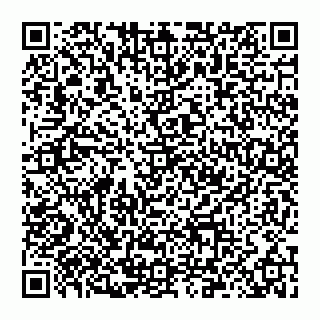 vCard 78097400388