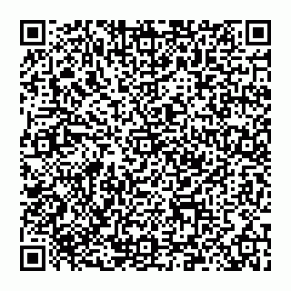 vCard 78097400390