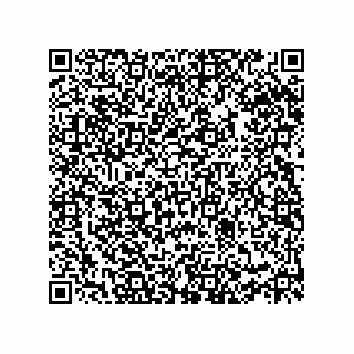 vCard 78112700029