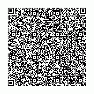 vCard 78112700041
