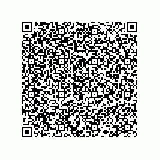 vCard 78113132647