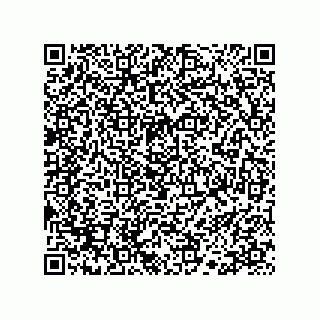 vCard 78113133221