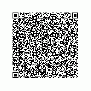 vCard 78113172003