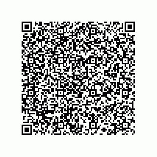 vCard 78113172011