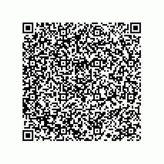 vCard 78113190001