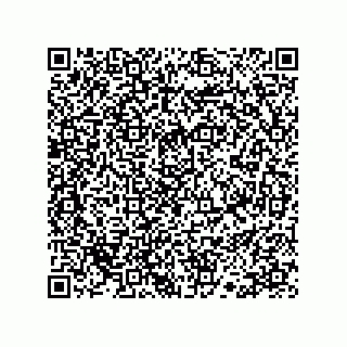 vCard 78113190002