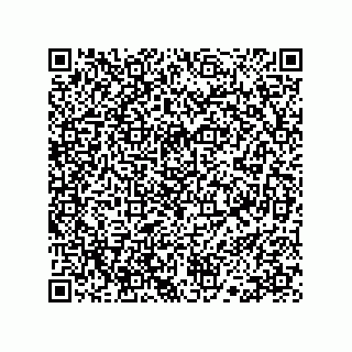 vCard 78113190003
