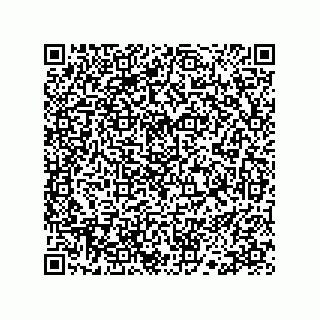 vCard 78113190004