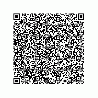 vCard 78113190008