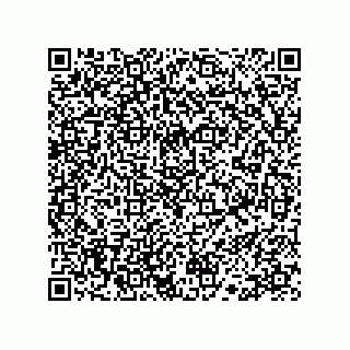 vCard 78113190009