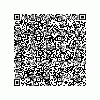 vCard 78113190010