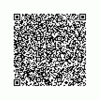 vCard 78113190011