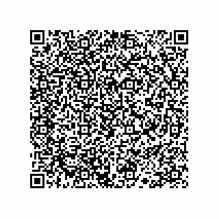 vCard 78113190013