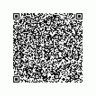 vCard 78113190017