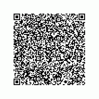 vCard 78113190019