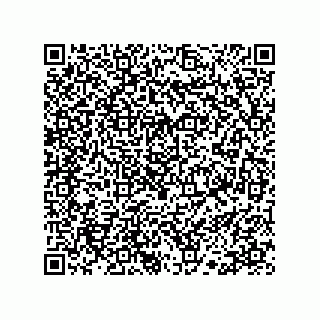 vCard 78113190021