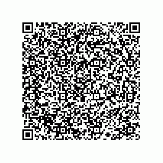 vCard 78113190022