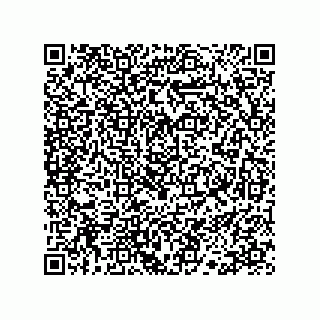 vCard 78113190026