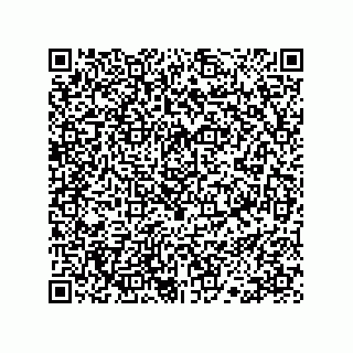 vCard 78113190029